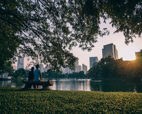 A serene green urban park setting perfect for physical relaxation and morning walks